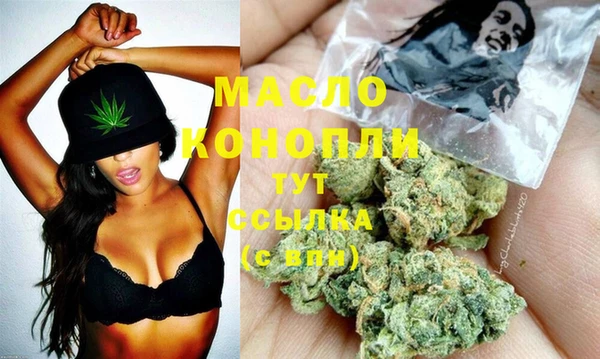 молекула духа Сатка