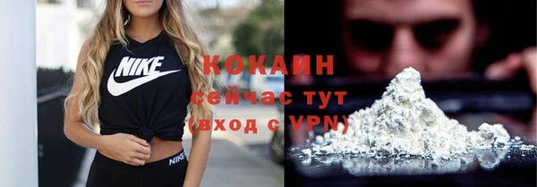 молекула духа Сатка