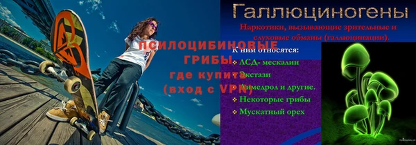гидра Гатчина