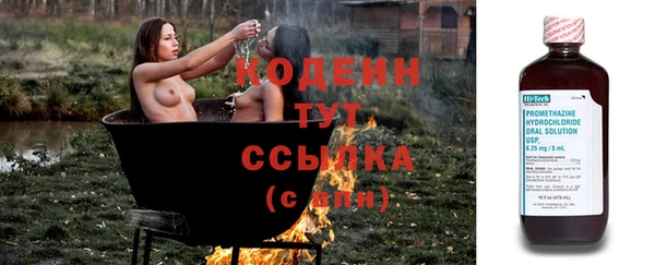 молекула духа Сатка