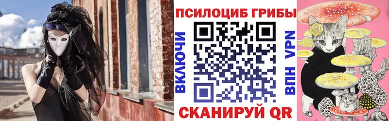 Псилоцибиновые грибы Psilocybine cubensis  MEGA   Благовещенск 