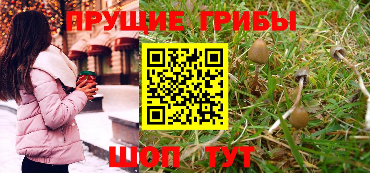 Псилоцибиновые грибы MAGIC MUSHROOMS Благовещенск